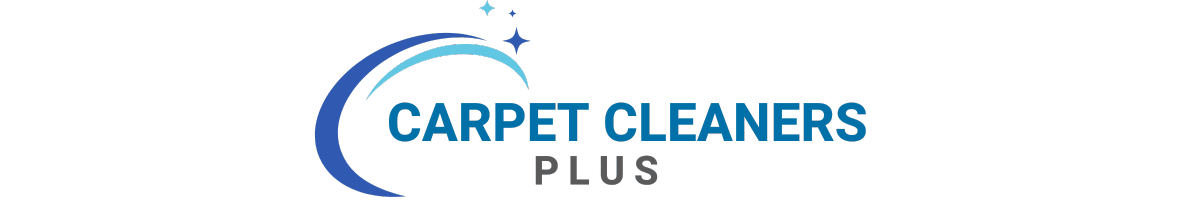 carpet cleaning services in chicago