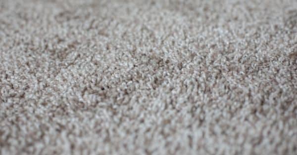Carpet Cleaning in Vernon Hills IL