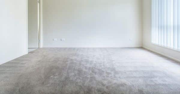 Carpet Cleaning in Wilmette