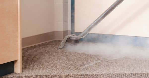 Carpet Steam Cleaning in Chicago