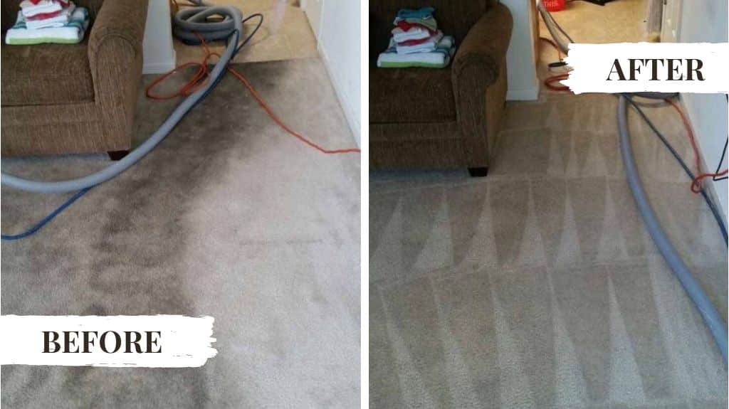 Carpet cleaning services in chicago