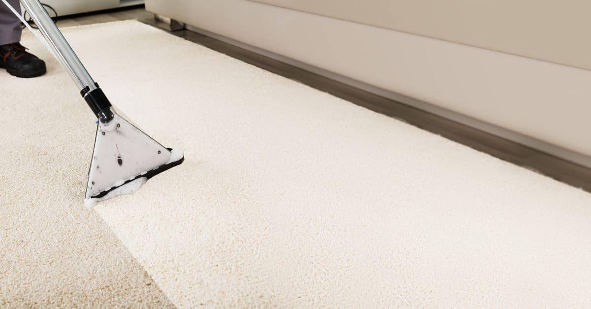 How do I keep my apartment carpet clean?