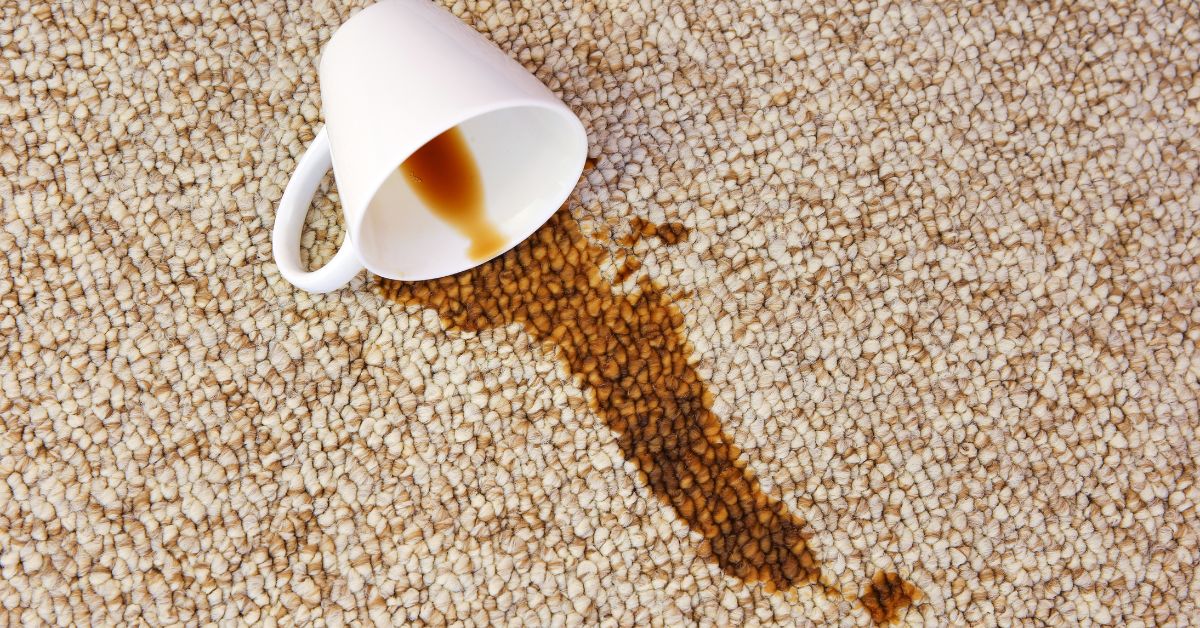 Unveiling the Common Sources of Carpet Stains